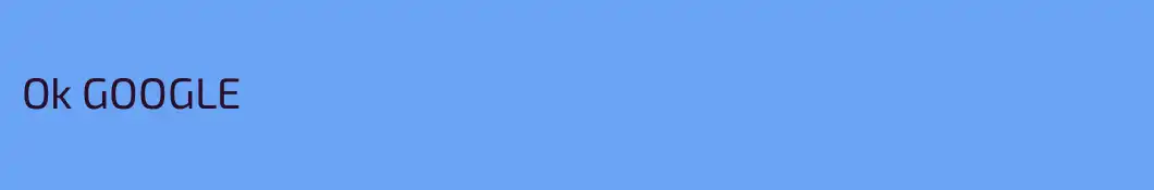 Ok GOOGLE